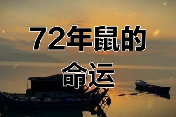 72年属鼠的人命理解析：缺乏什么，如何弥补？