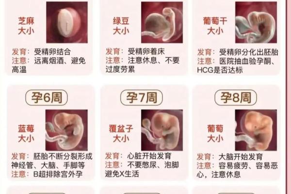 根据今天出生的宝宝，如何解读他们的命运与个性特征