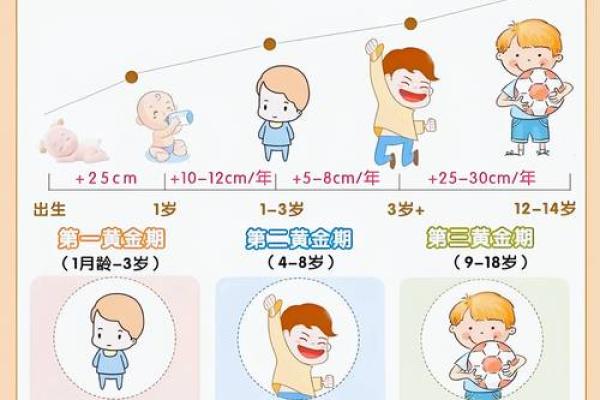 根据今天出生的宝宝，如何解读他们的命运与个性特征
