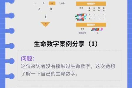 水命者适合的数字与生活智慧探秘