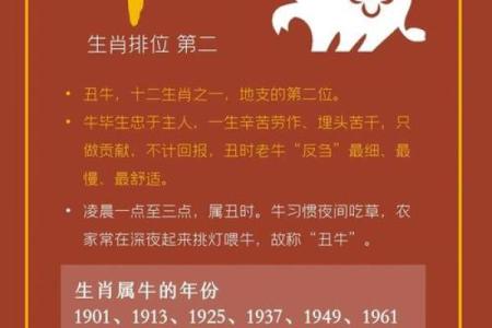 2009年属牛：命理解析与人生启示