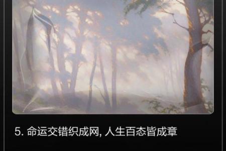 命格的奥秘：探寻那些能遇上奇事的人生之路