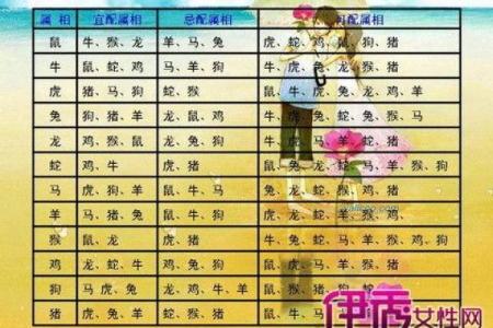 属鸡女1993年：活出精彩人生的命运解析与生活智慧