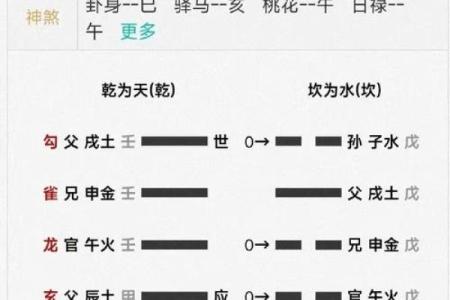 1956年命卦解析：你的人生轨迹与宇宙的奥秘相连接
