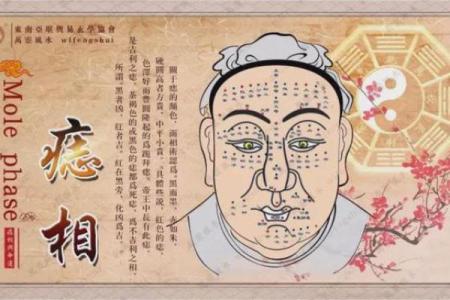 不同脸型看富贵命：揭示男性命运的秘密标签！