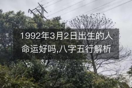 揭开壬寅年死亡之命的神秘面纱，探寻命理与人生的深刻联系
