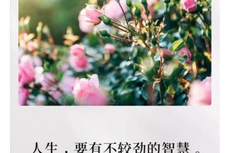 55岁的人是什么命：探索人生转折与未来的智慧之路