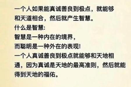 2011年命格解析：把握人生机遇与挑战的智慧之道