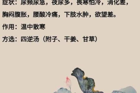 寒命解析：命理中寒命的意义与生活影响