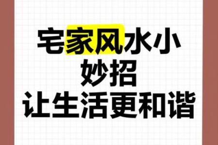葵水命的风水装饰：为生活增添宁静与和谐的秘诀