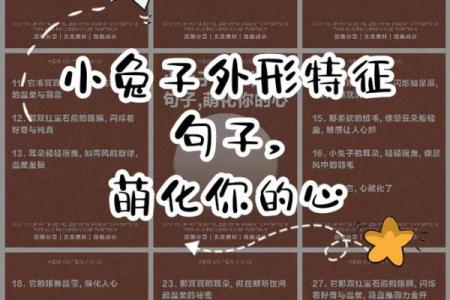 兔年命理与生肖解析，让你全面了解兔子的秘密！