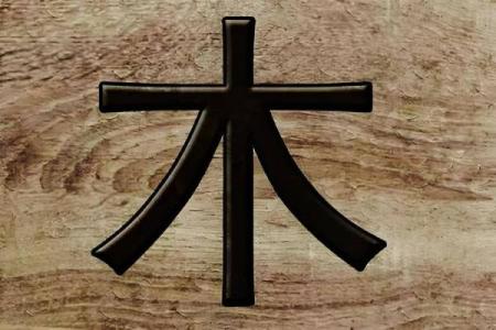 杨柳木命的相生相克，谁是最佳匹配伴侣？