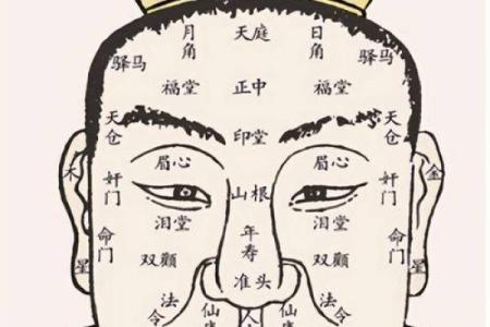 面相解析：揭秘男人命运与五官特征的关系