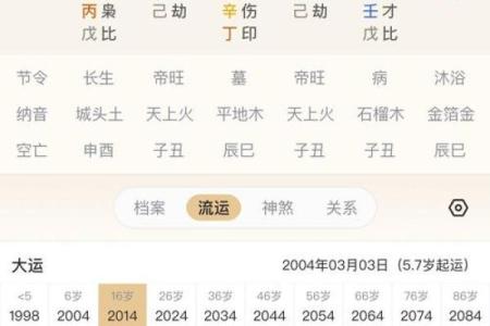 探秘紫薇星盘：你命中注定的最佳人生轨迹