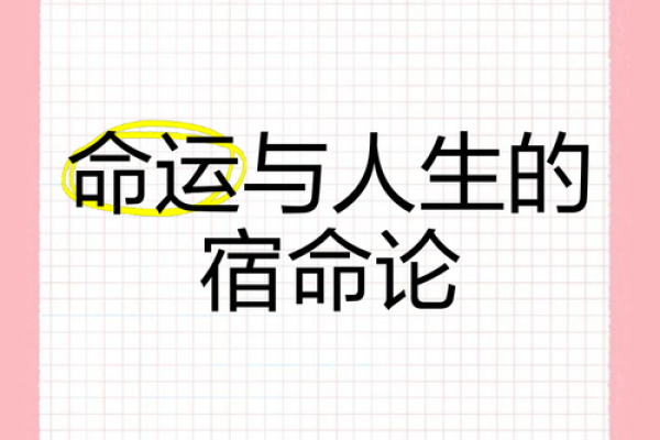 根据什么的脚就是什么命：探讨命运与生活的奥秘