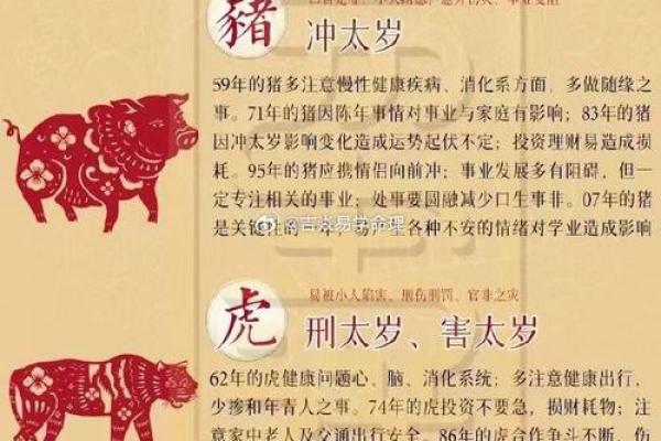 正月虎出生命理解析：迎接未来的力量与智慧