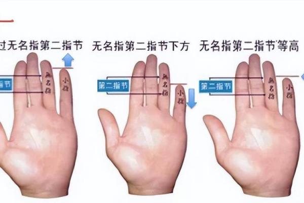 脚食指最长命运解析：揭示生活中隐藏的秘密