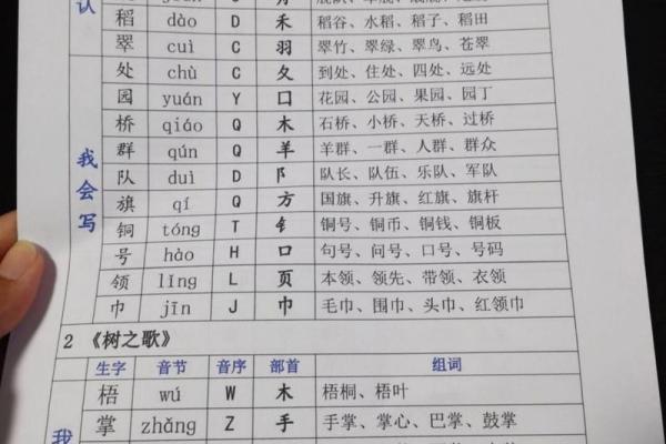 命字音节音序探寻：字音背后的文化魅力与智慧