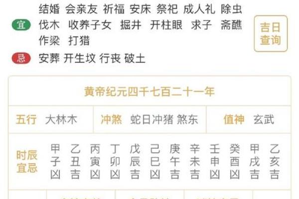 揭秘甲戌日出生命运：鼠年命格与未来的奇妙联系