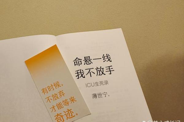 一命抵一命：探讨生命的价值与道德的取舍
