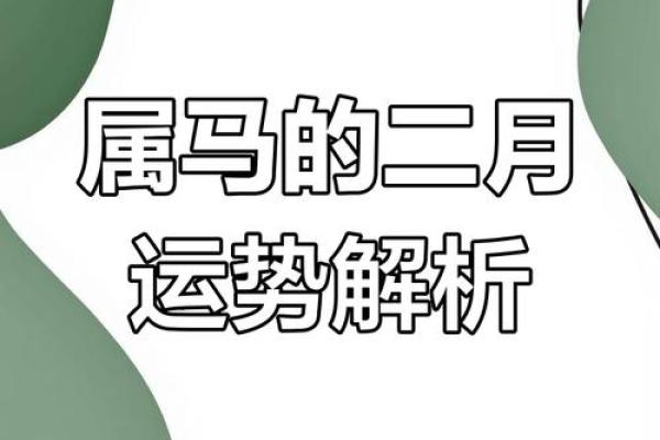 属马人最佳星座揭秘：生活运势与事业腾飞的秘密