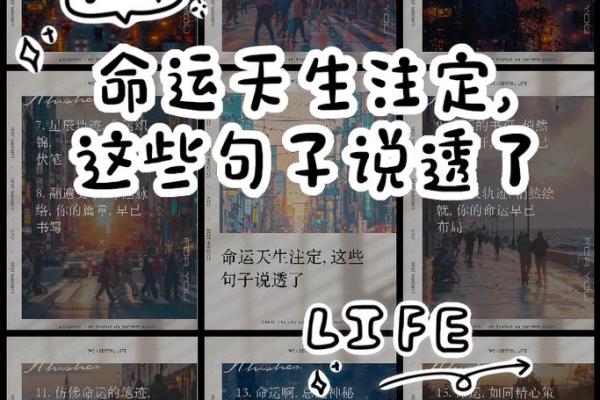 2002年7月出生的你，注定拥有哪些命运特征？