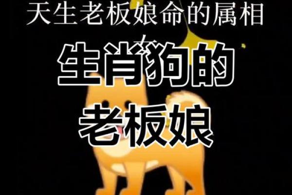1982年属狗女：命运解析与生活指引