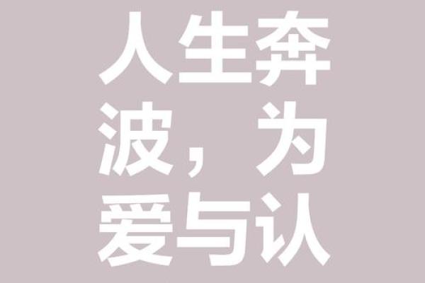 命稻何行，人生的选择与自然的馈赠