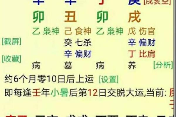 农历11月出生的人命理解析：揭秘您与生俱来的性格与命运