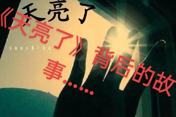 《命运交响曲：探索每个音符背后的情感与故事》