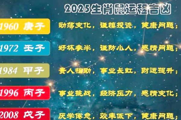 鼠年出生的人命运解析：揭开命理的神秘面纱