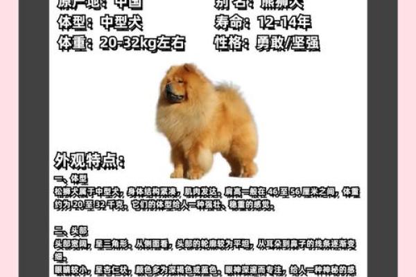 揭秘：哪种狗生孩子最辛苦，教你如何呵护它们！