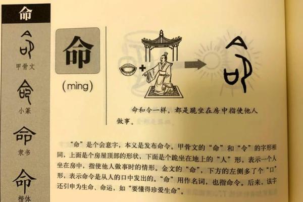 探秘石榴木命：五行属金，生命中的缺失与补救之道