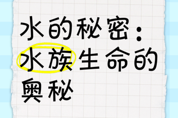 84年属什么水命？探索水元素的神秘与智慧