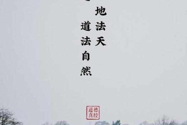 看破天机的人是什么命：揭示命理的深层秘密与人生智慧