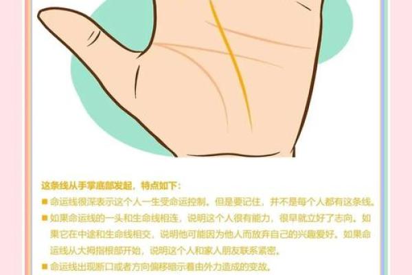手纹杂乱背后的命运密码：探究人生的独特轨迹