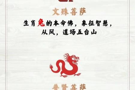 69年鸡年运势解析：鸡年命人的幸福生活与成功之道
