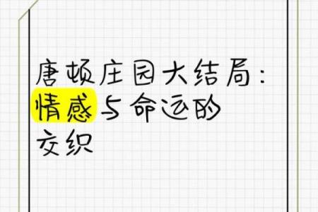 招风的女子：命运与性格的交织之旅