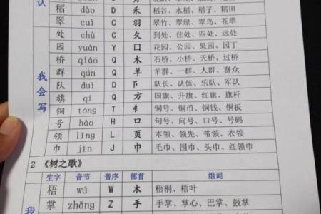 命字音节音序探寻：字音背后的文化魅力与智慧