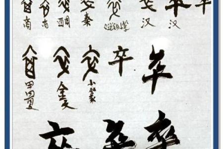 承命而行，珍惜时光的智慧与力量