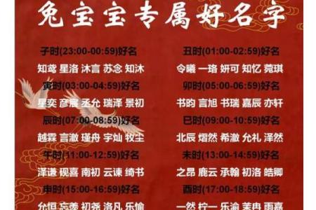 2024年兔年宝宝命理解析：为未来铺设幸福与成功之路