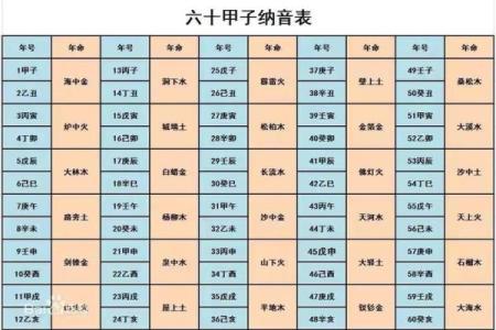2008年纳音解析：透视命运与未来的启示