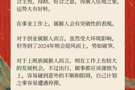 2004年猴年出生的命运解析：揭秘你的性格与运势