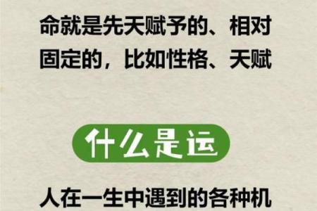 明年出生的宝宝属什么？解密2024年新生儿的命运与性格！