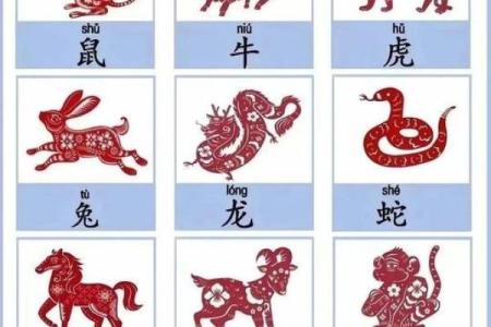 天生穷命的生肖：命运与生肖的奇妙纠缠
