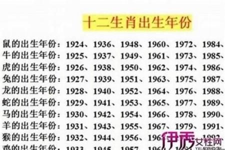 1955年属什么命？揭秘其性格与命运特征！