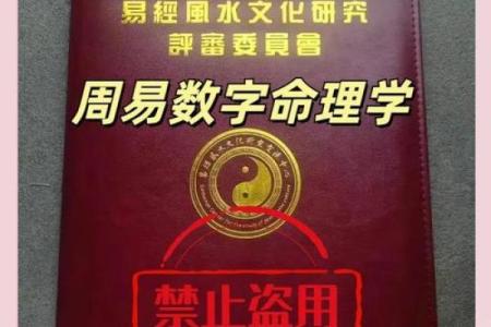 探寻数命的奥秘：如何通过数字解读人生与命运