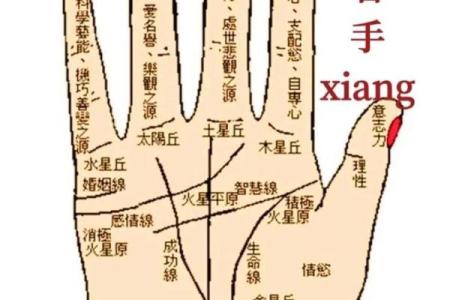 胳膊粗壮的人的命运解析：力量与命运的秘密