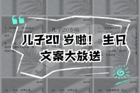 二十岁生日：青春的里程碑与未来的展望