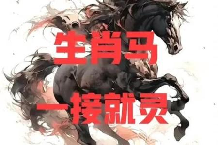 40岁马命解密：探寻你的人生智慧与运势